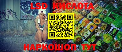 гидра Заволжье