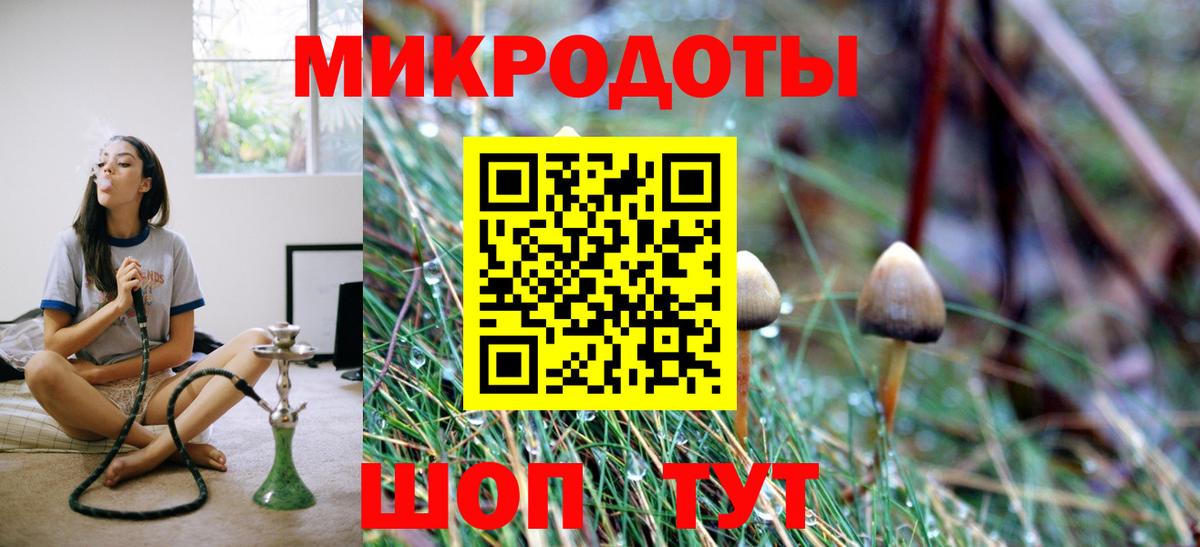 купить   Галлюциногенные грибы GOLDEN TEACHER  Майский  Вход с VPN  Псилоцибиновые грибы Psilocybe 